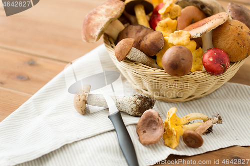 Image of basket of different edible mushrooms and knife