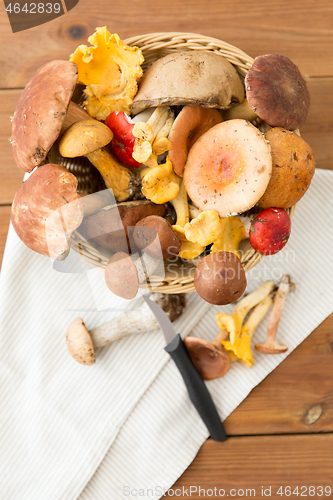 Image of basket of different edible mushrooms and knife