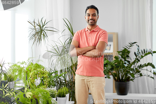 Image of smiling indian man with houseplants at home