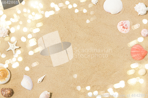 Image of seashells on beach sand