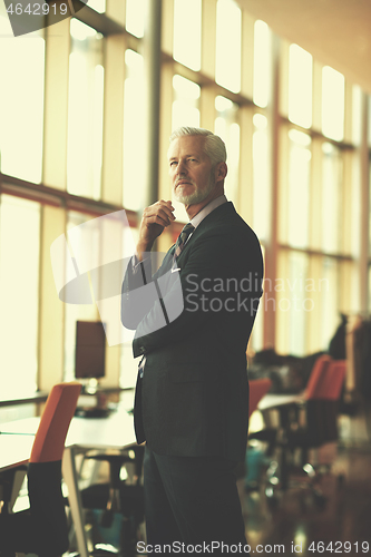 Image of senior business man portrait