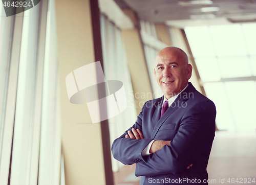 Image of senior business man portrait