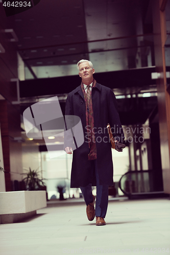 Image of handsome senior business man walking