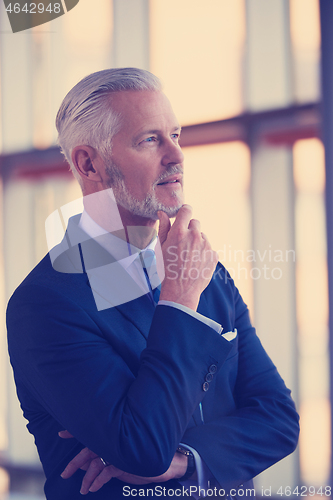 Image of senior business man portrait