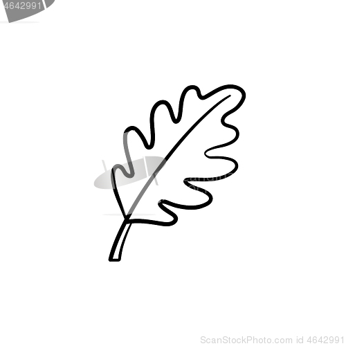 Image of Oak leaf hand drawn sketch icon.