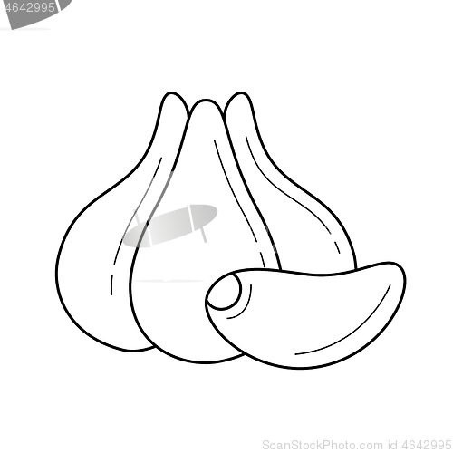 Image of Garlic head vector line icon.