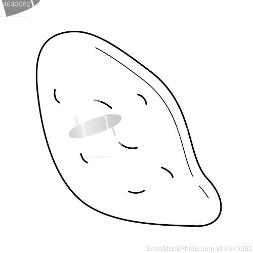 Image of Sweet potato vector line icon.