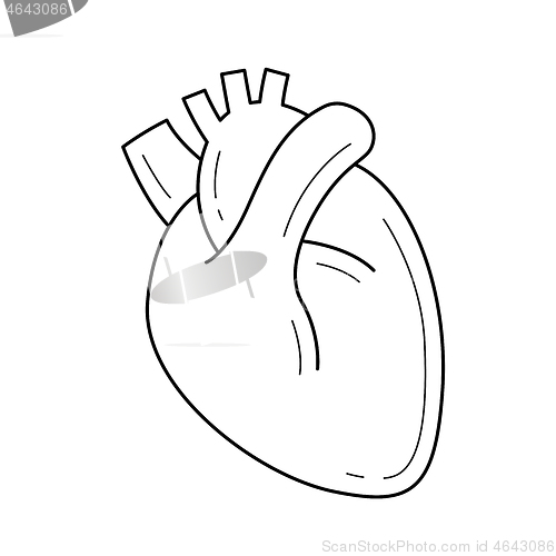 Image of Human heart line icon.