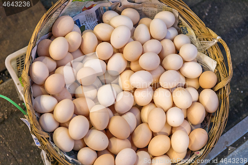 Image of Eggs Basket