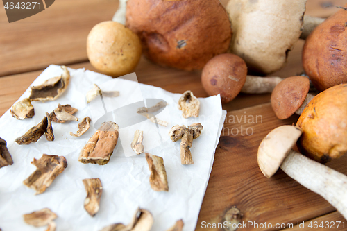 Image of dried mushrooms on baking paper