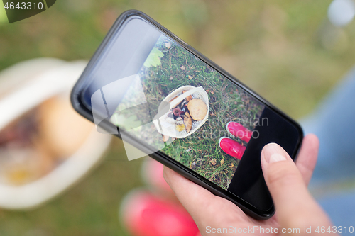 Image of close up of woman photographing mushrooms