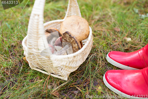 Image of basket of mushrooms and feet in gumboots in forest