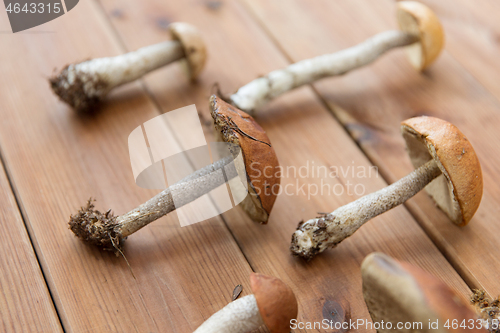 Image of brown cap boletus mushrooms on wooden background