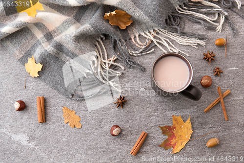 Image of hot chocolate, autumn leaves and warm blanket