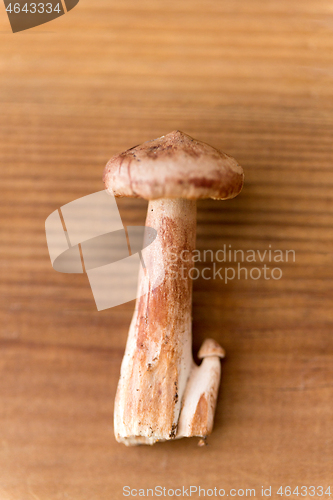 Image of lactarius rufus mushrooms on wooden background