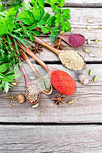 Image of Spices in spoons on old board top