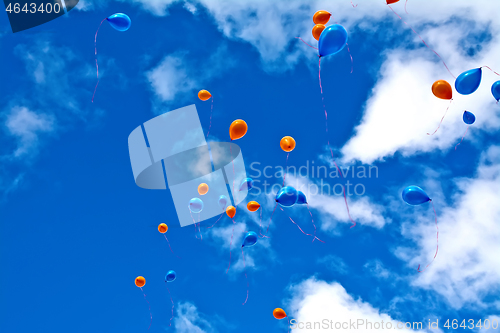 Image of Balloons orange and blue in sky