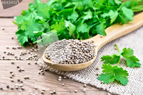 Image of Coriander seeds in wooden spoon on board
