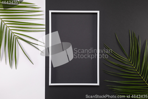 Image of Frame of tropical palm leaves on black and white background