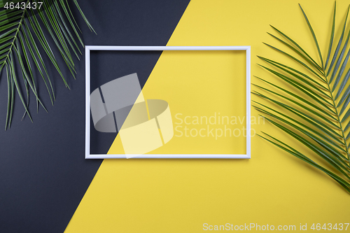 Image of Summer composition with photo frame and green leaves on yellow b