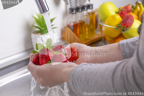 Image of Woman washing strawberries in the kitchen