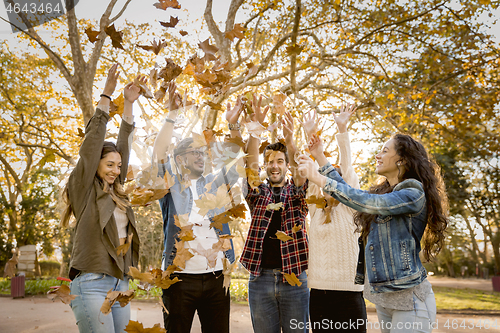 Image of Friends having fun throwing leaves in the air