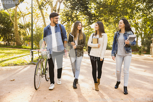 Image of Students in the park