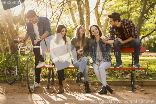 Image of Students in the park