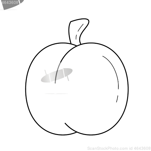 Image of Fresh apricot vector line icon.