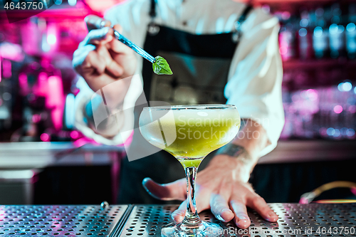 Image of Expert barman is making cocktail at night club.