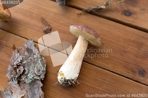 Image of boletus edulis mushroom and pine bark on wood