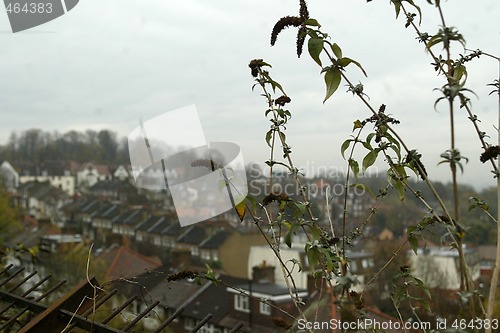 Image of Rooftops