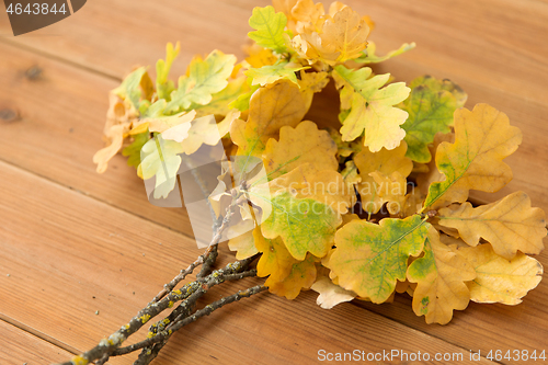 Image of oak leaves in autumn colors on wooden table