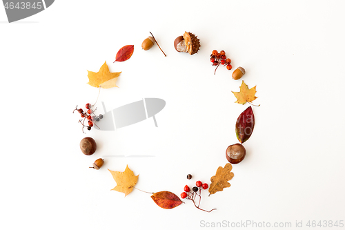 Image of autumn leaves, chestnuts, acorns and berries frame