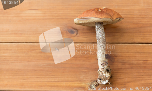 Image of brown cap boletus mushrooms on wooden background