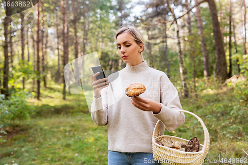 Image of woman using smartphone to identify mushroom