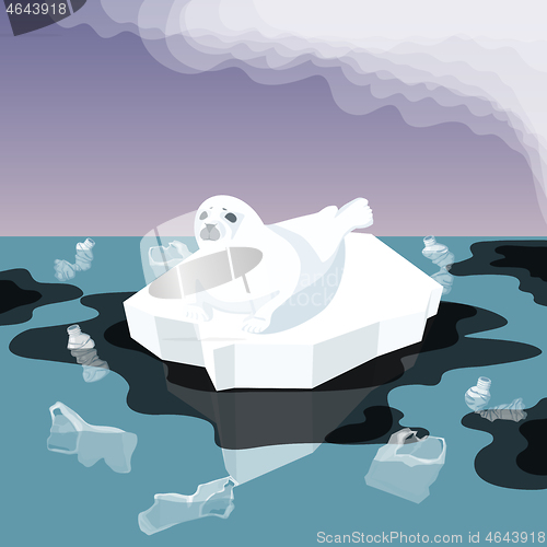 Image of Melting Iceberg And Fur Seal