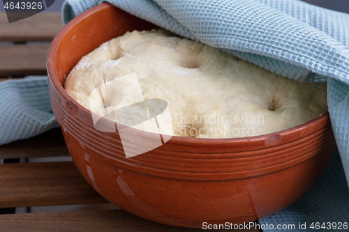 Image of leavened dough in ceramic bowl