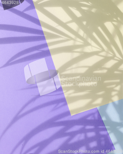 Image of colored paper background with palm shadows