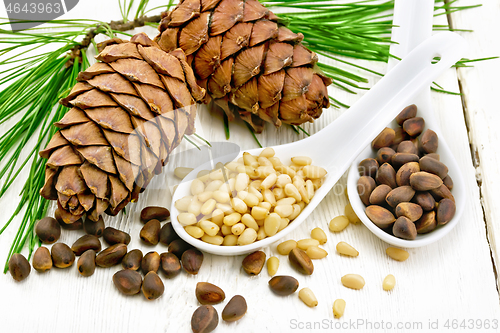 Image of Cedar nuts in two spoons on board