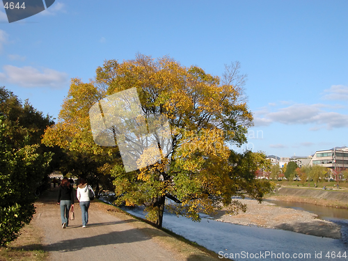 Image of Fall on the riverside