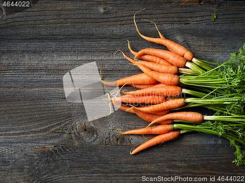 Image of fresh raw carrots