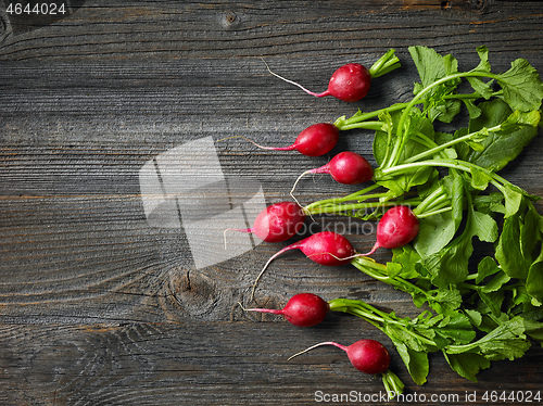 Image of fresh raw radish