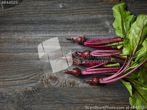 Image of fresh raw beet roots
