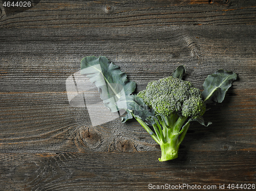 Image of fresh raw broccoli