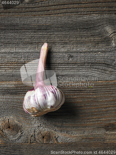 Image of fresh raw garlic