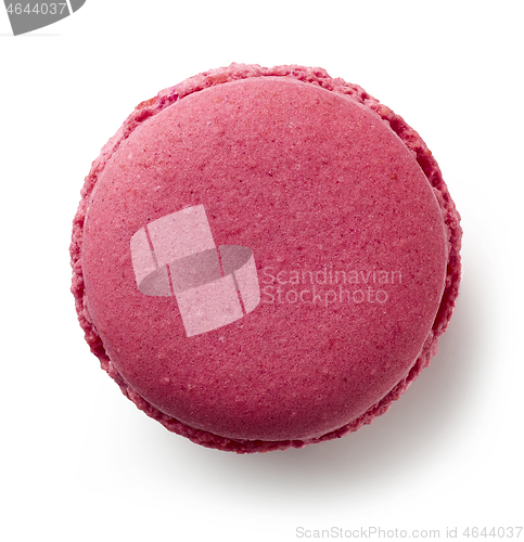 Image of purple blackcurrant macaroon