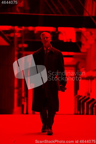 Image of handsome senior business man walking