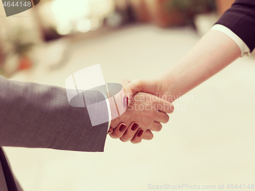 Image of businesswoman and businessman handshake