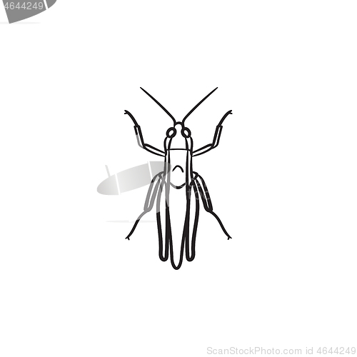 Image of Grasshopper hand drawn sketch icon.